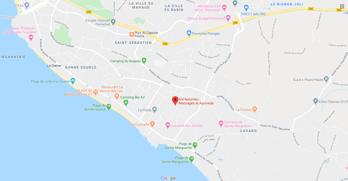 Goggle map
